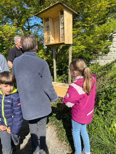 Naturschutz-Insektenhotel